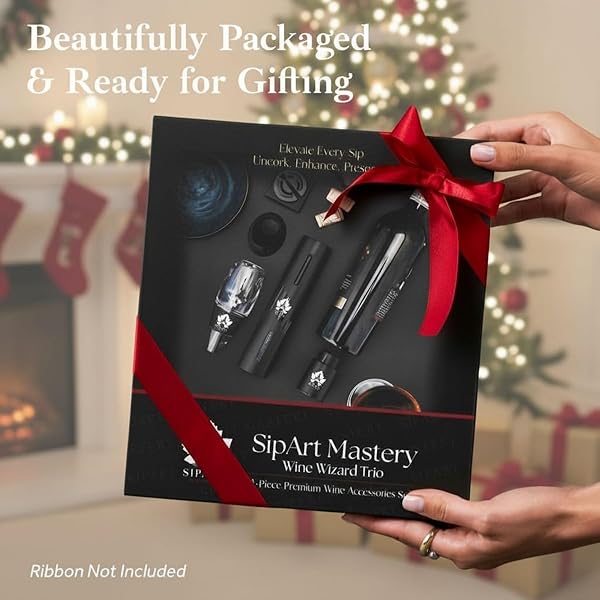 Wine accessory gift set